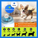 Automatic Dog Ball Launcher