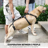 COODEO Mobility Dog Lift Harness