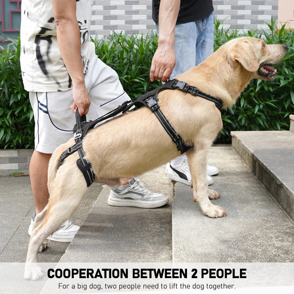 COODEO Mobility Dog Lift Harness