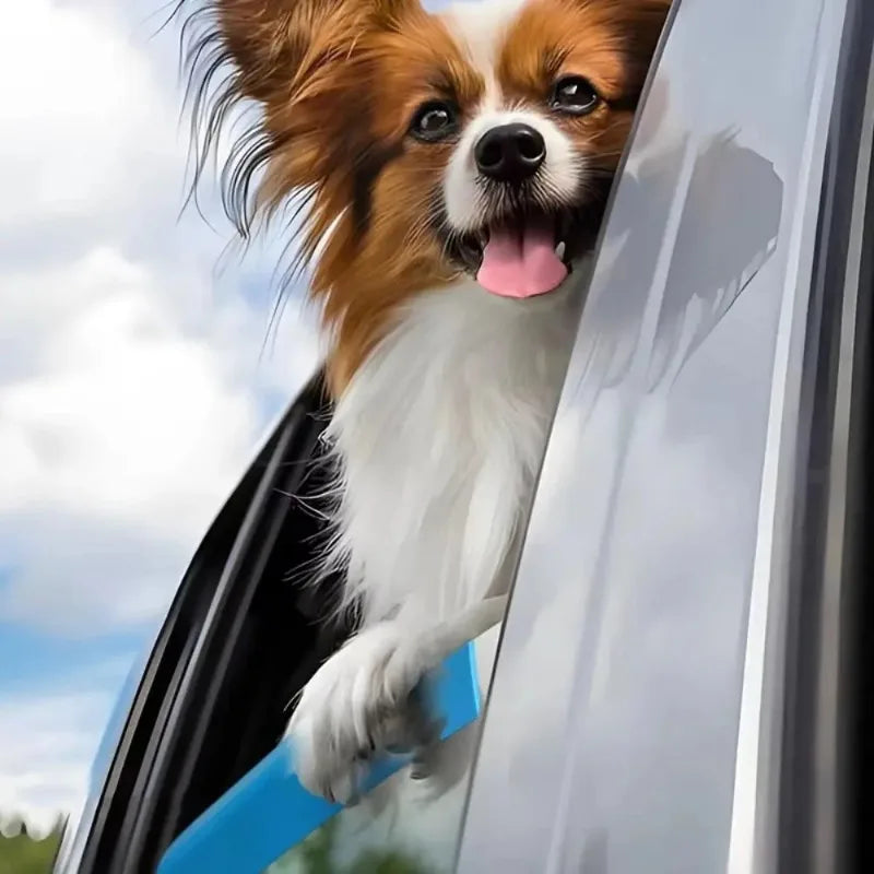 Sc2610a3c85794e80a7a103ef96ae405fA