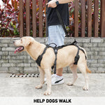 COODEO Mobility Dog Lift Harness