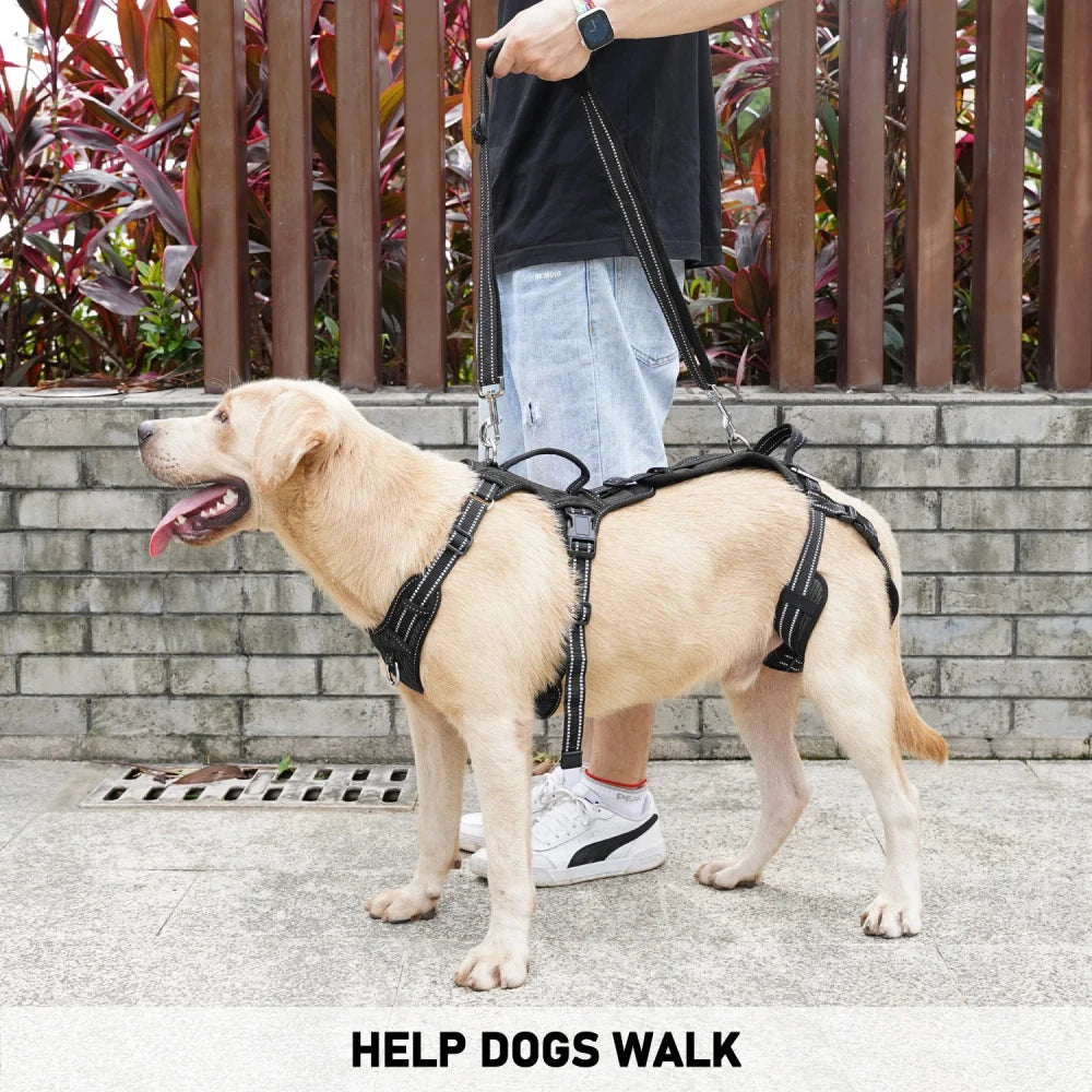 COODEO Mobility Dog Lift Harness