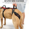 COODEO Mobility Dog Lift Harness